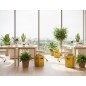 Contenedor papelera reciclaje liderpapel carton reciclado para envases 450x350x650 mm 70 litros amarillo