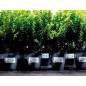 Etiqueta adhesiva resistente avery poliester blanco laser 45,7x21,2 mm caja de 960 unidades Etiqueta adhesiva resistente avery poliester blanco laser 45,7x21,2 mm caja de 960 unidades