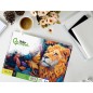 Bloc dibujo liderpapel lineal espiral 460x325 mm 20 hojas 180 gr/m2 con recuadro perforado
