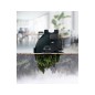 Taladrador petrus 85 recycle negro capacidad 25 hojas
