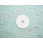 Cd-r q-connect con superficie 100% imprimible para inkjet capacidad 700mb duracion 80minvelocidad 52x bote de 50 unid Cd-r q-connect con superficie 100% imprimible para inkjet capacidad 700mb duracion 80minvelocidad 52x bote de 50 unid