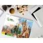 5 Unidades - Bloc dibujo liderpapel artistico natura espiral 230x325mm 20 hojas 130g/m2 sin recuadro perforado