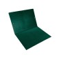 Carpeta planos liderpapel a3 carton gofrado n 12 verde